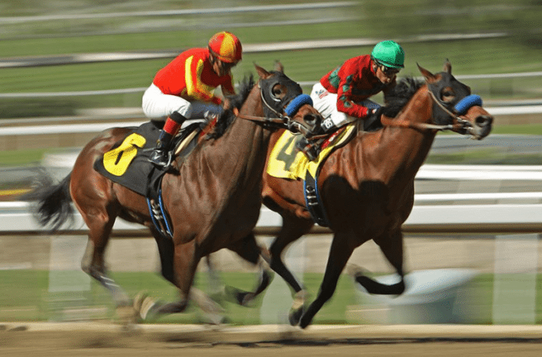 Famous Horse Racing Legends You Should Know