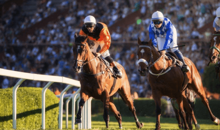 Famous Horse Racing Rivalries That Shaped the Sport