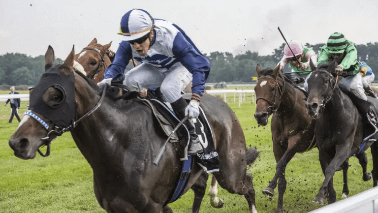 Horse Racing and Animal Welfare: What You Need to Know