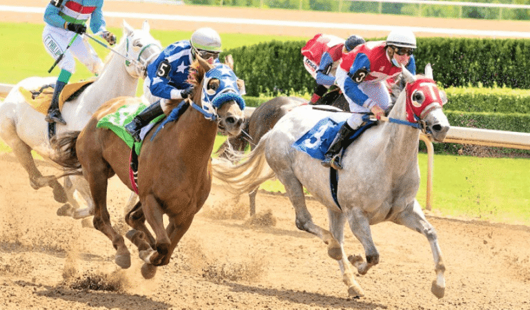 Horse Racing and the Law: Legal Issues Every Fan Should Know