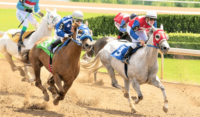 Horse Racing and the Law: Legal Issues Every Fan Should Know